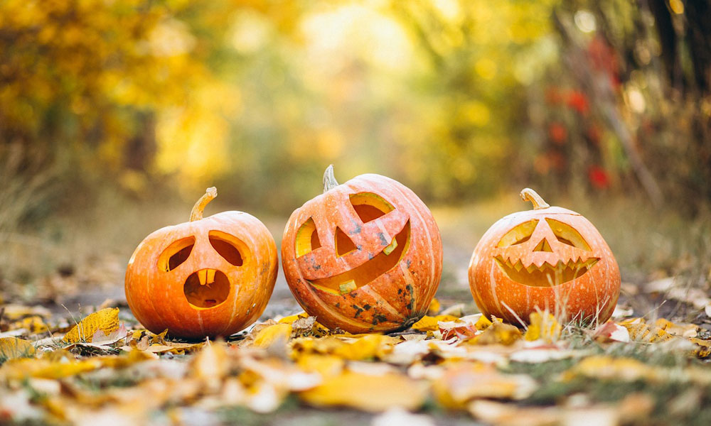 Halloween  programok 2024 - Gyermek és családi programok 
